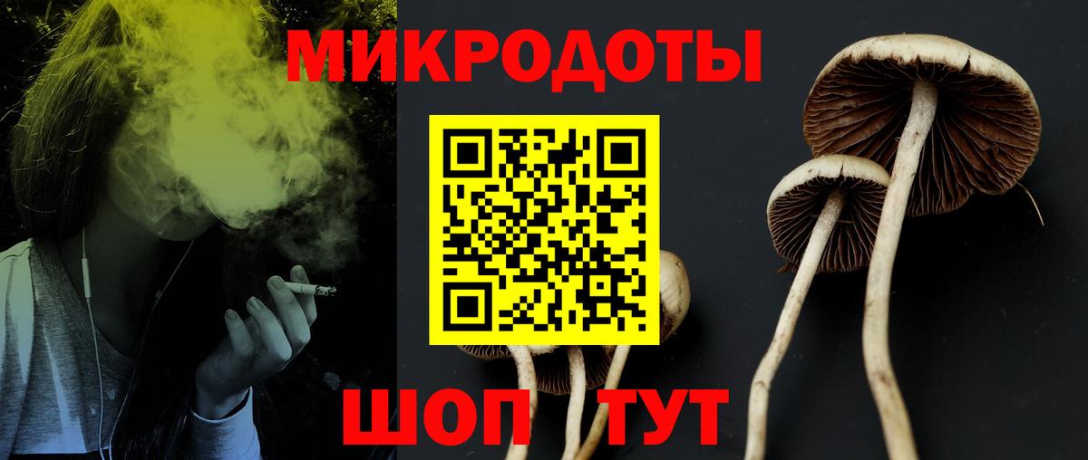 где можно купить наркотик  Галлюциногенные грибы GOLDEN TEACHER  Дальнереченск  Вход с VPN  Галлюциногенные грибы Psilocybine cubensis 
